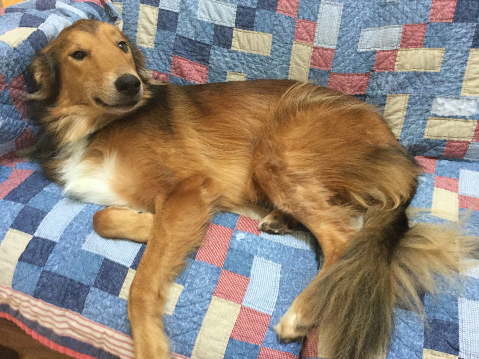 Ellie - photo 5