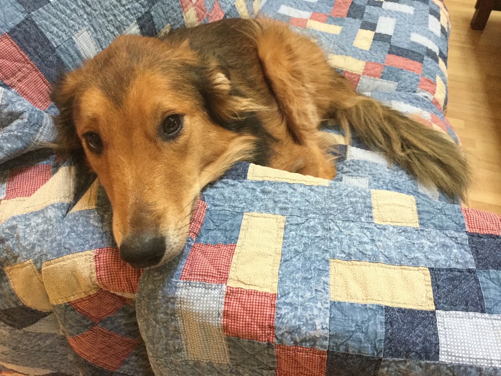 Ellie - photo 3