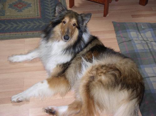 Daisy - photo 2