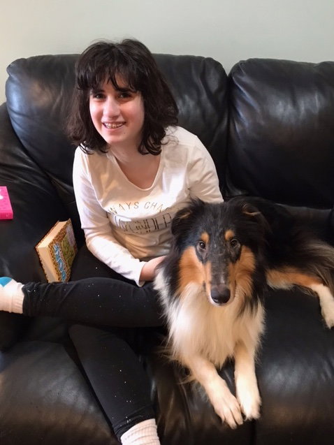 Gabe a Young Male Collie (long coat) adopted through Collie Rescue