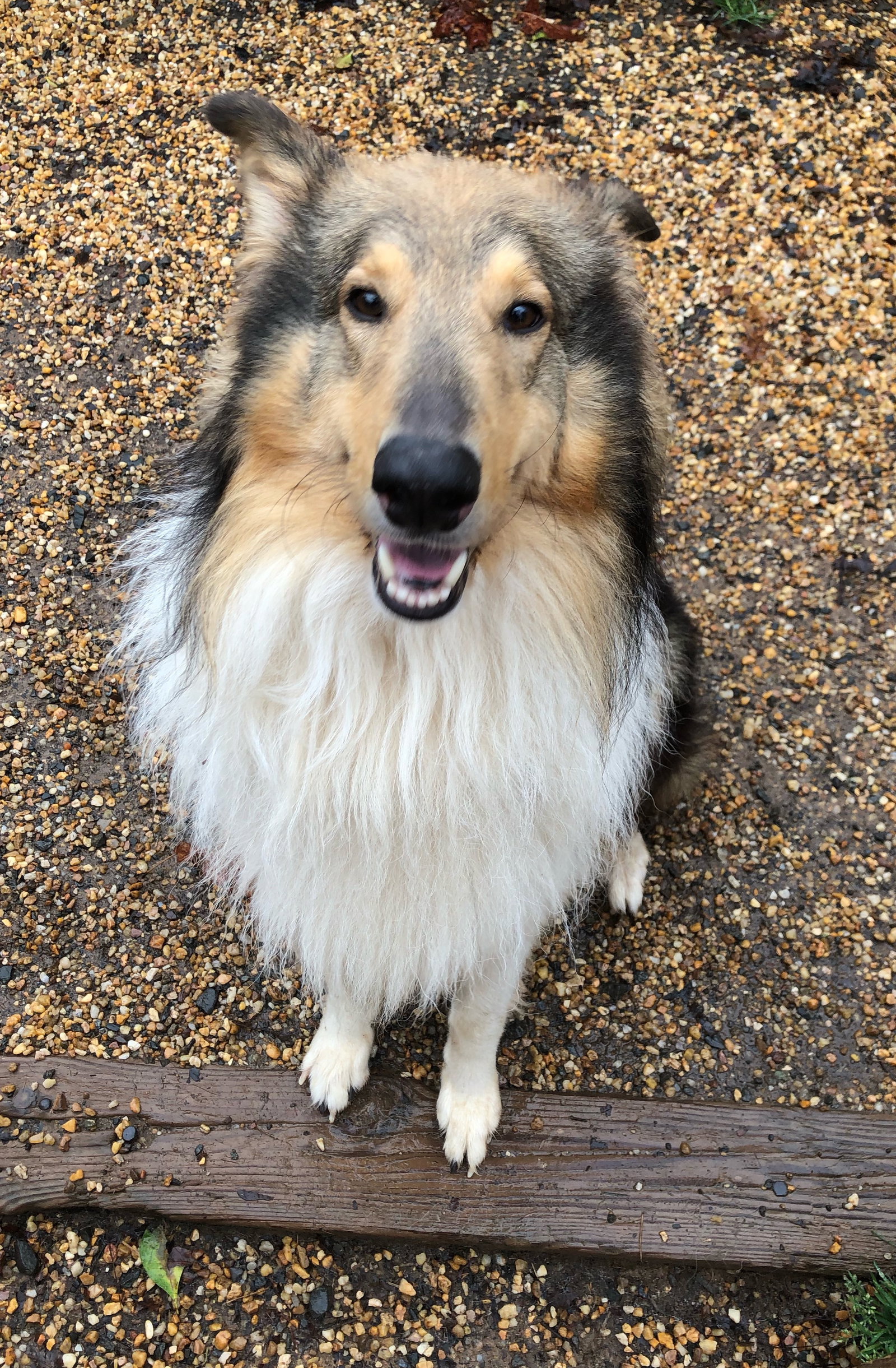 Garth - photo 3