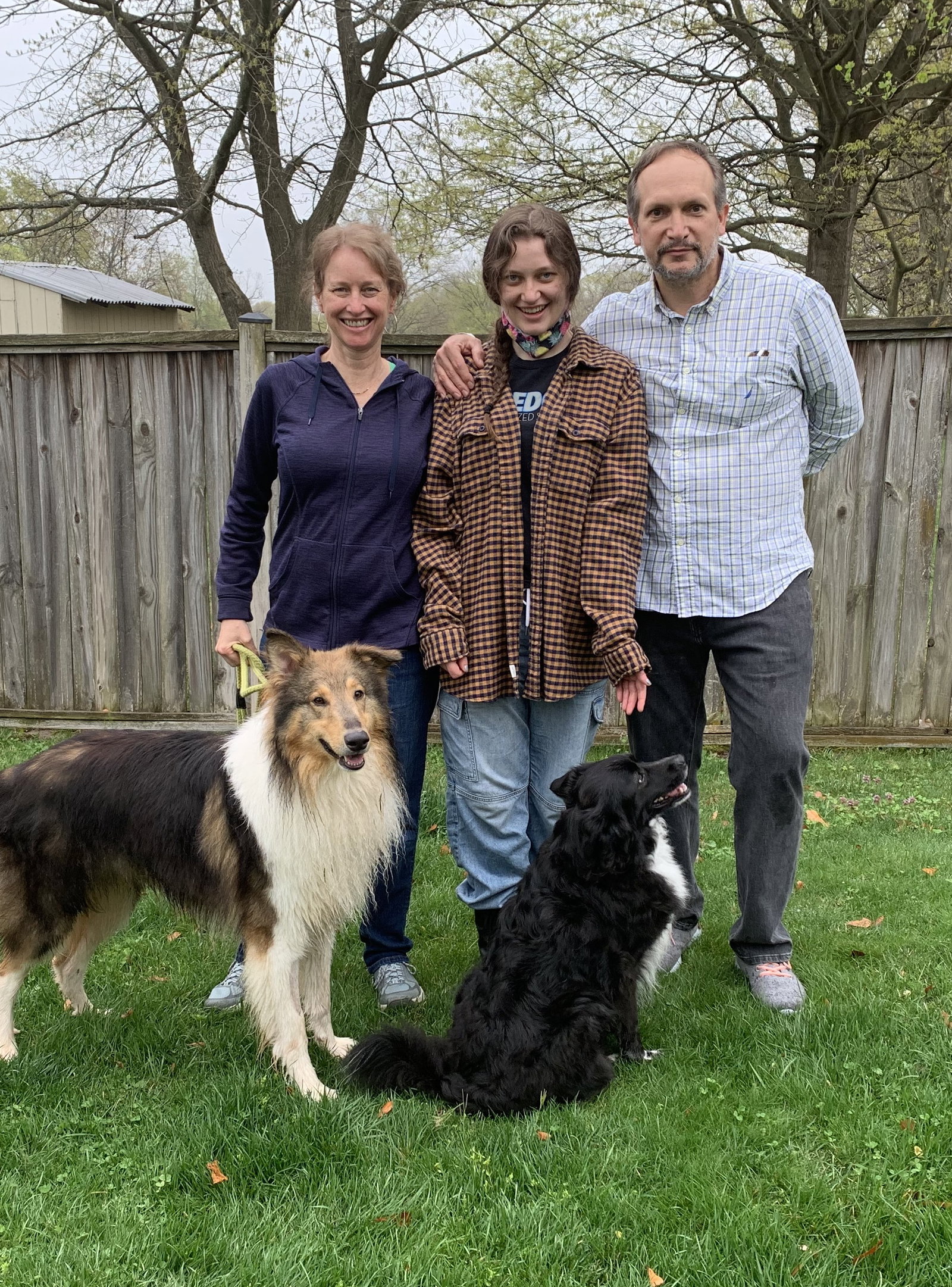 Garth a Adult Male Collie (long coat) adopted through Collie Rescue