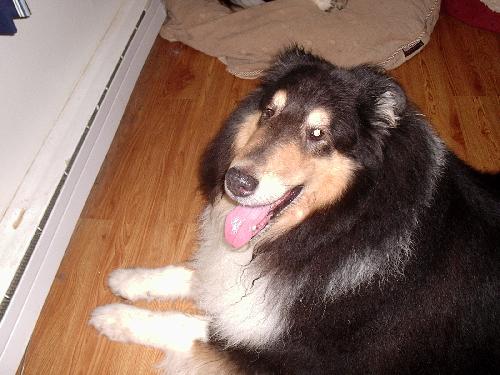 Zak - photo 2