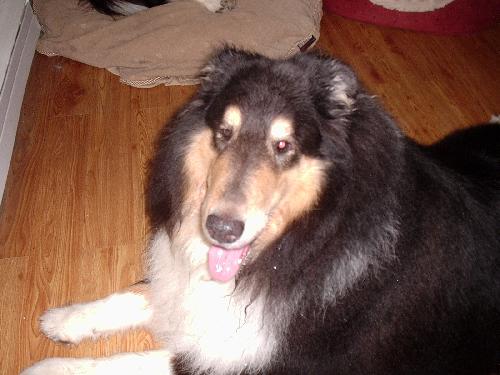 Zak - photo 3