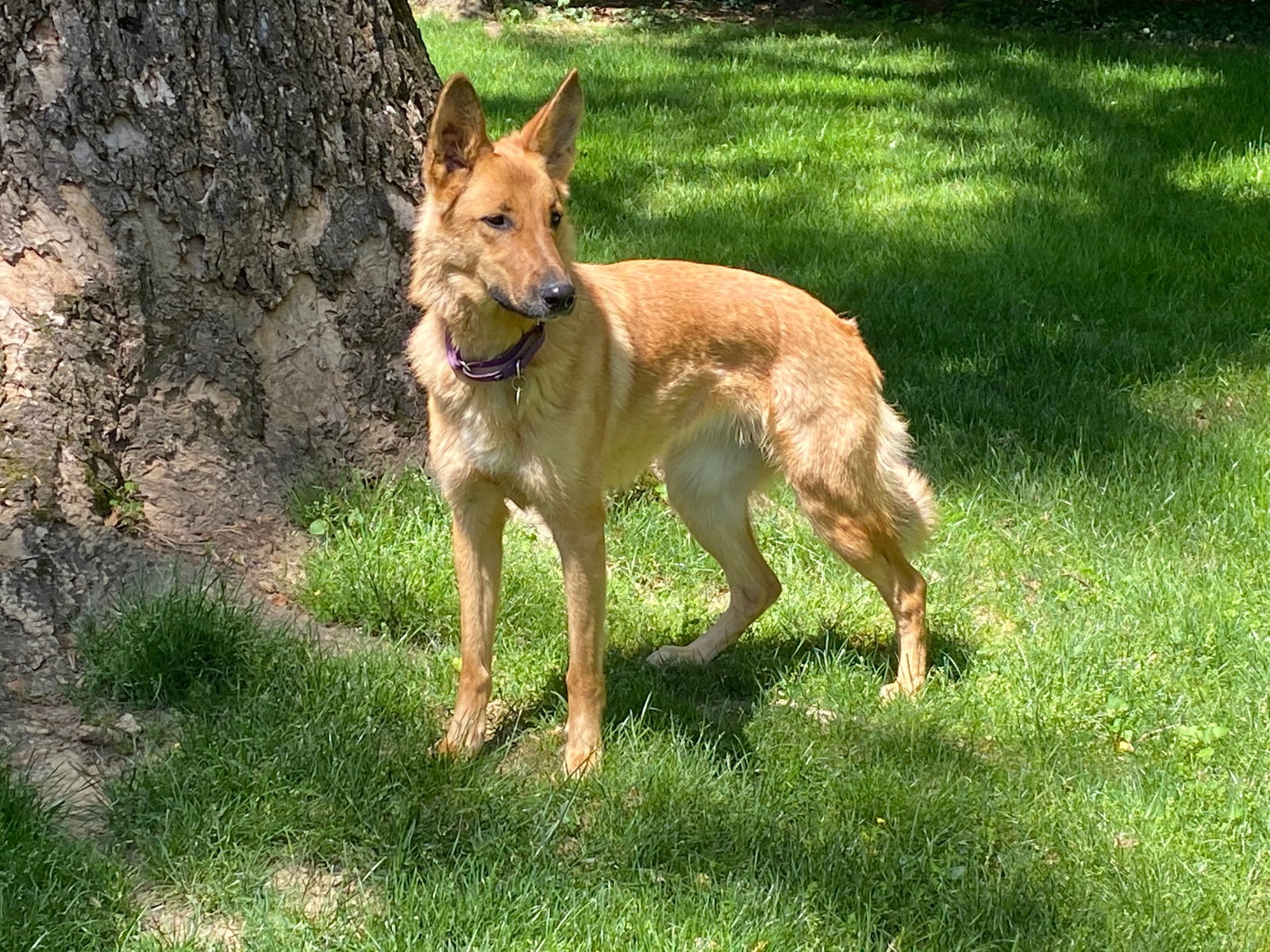 Lexi - photo 3