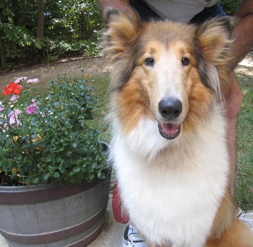 Bonnie - photo 3