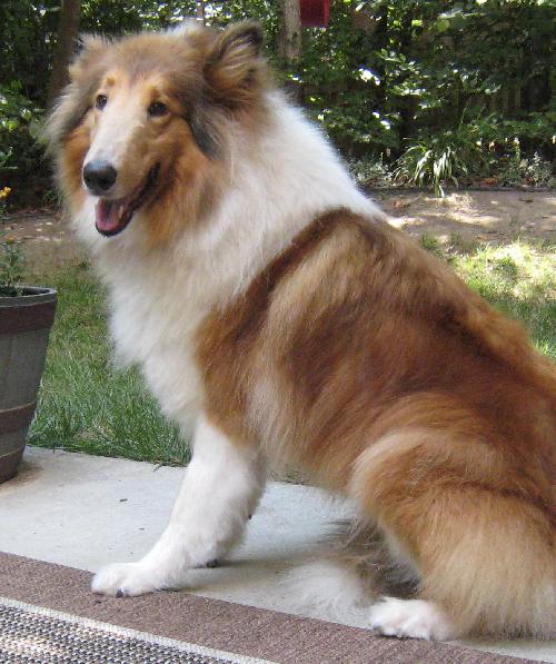 Bonnie - photo 4