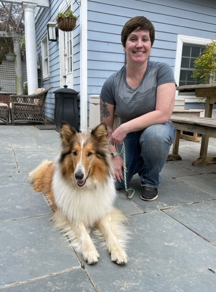 Scottie a Adult Female Collie (long coat) adopted through Collie Rescue