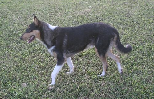 Cody - photo 3