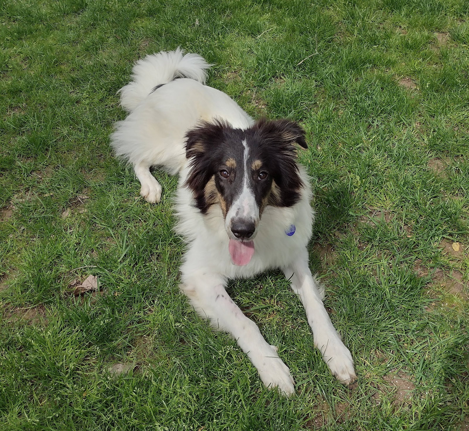 Reagan - photo 2