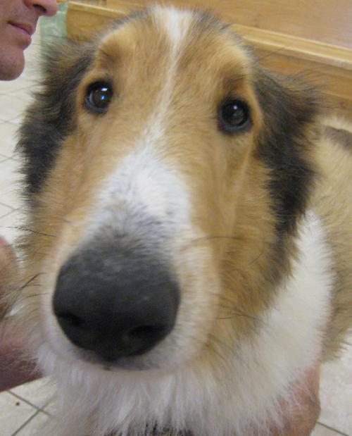 Ben - photo 4