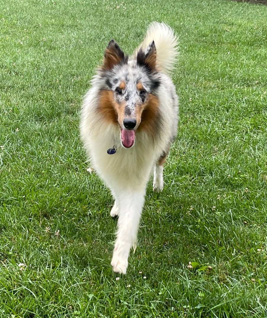 Ernie - photo 3