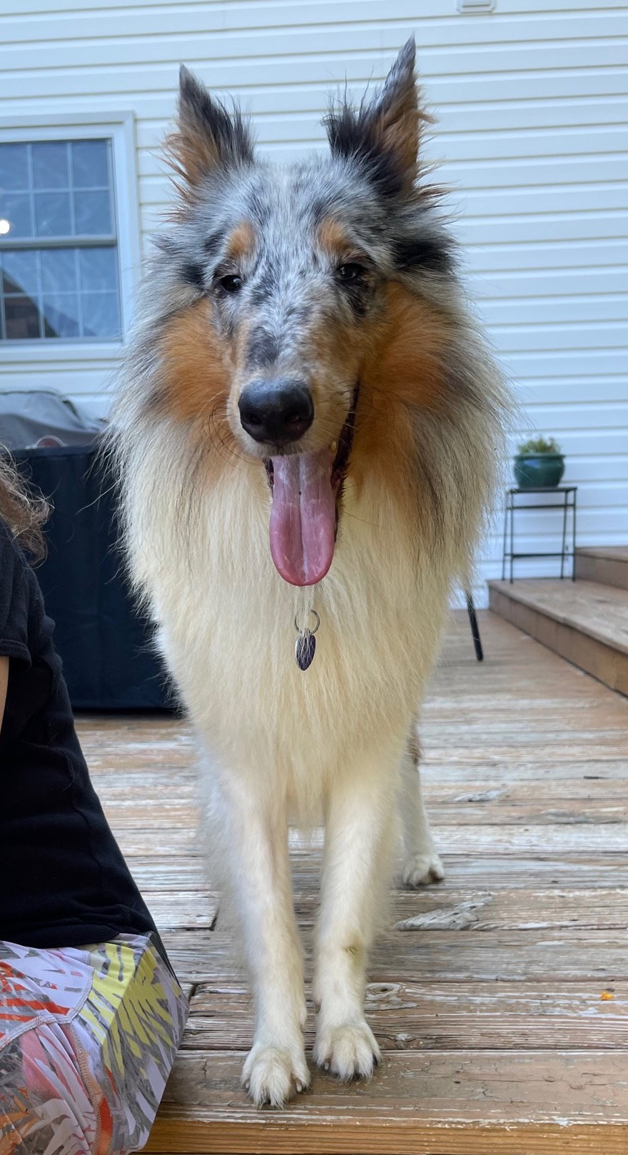 Ernie - photo 5