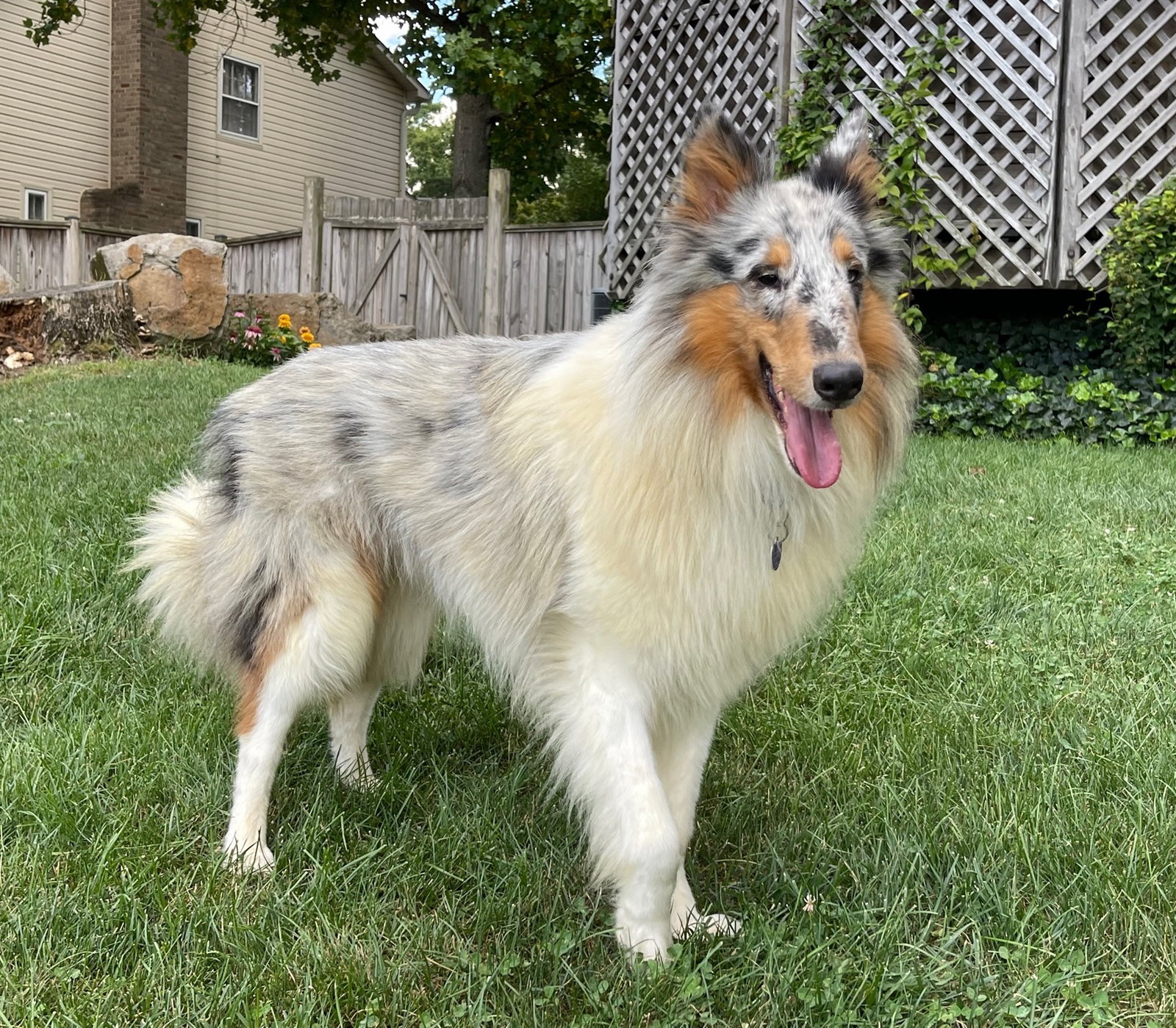 Ernie - photo 4