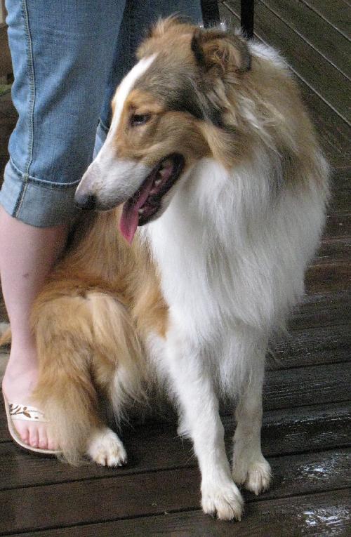 Tucker - photo 2