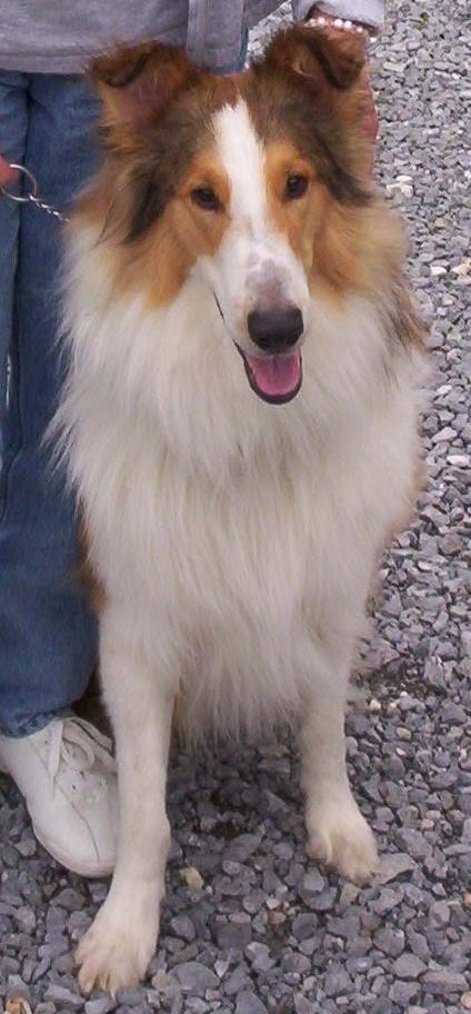 Tucker - photo 3