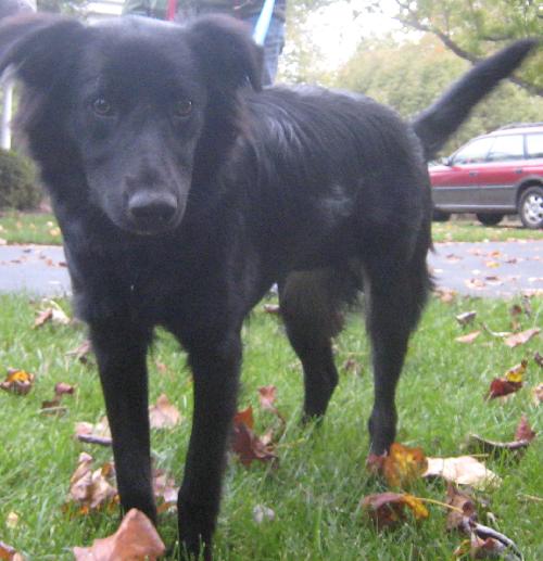 Evie - photo 2