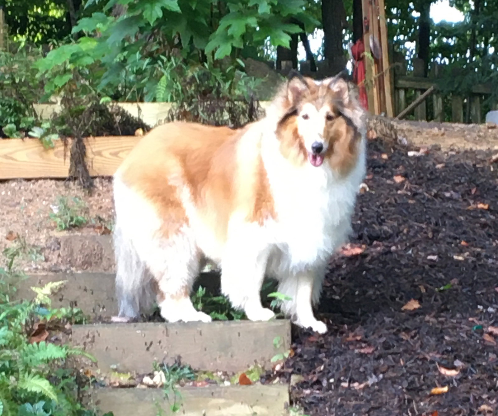 Katie - photo 4