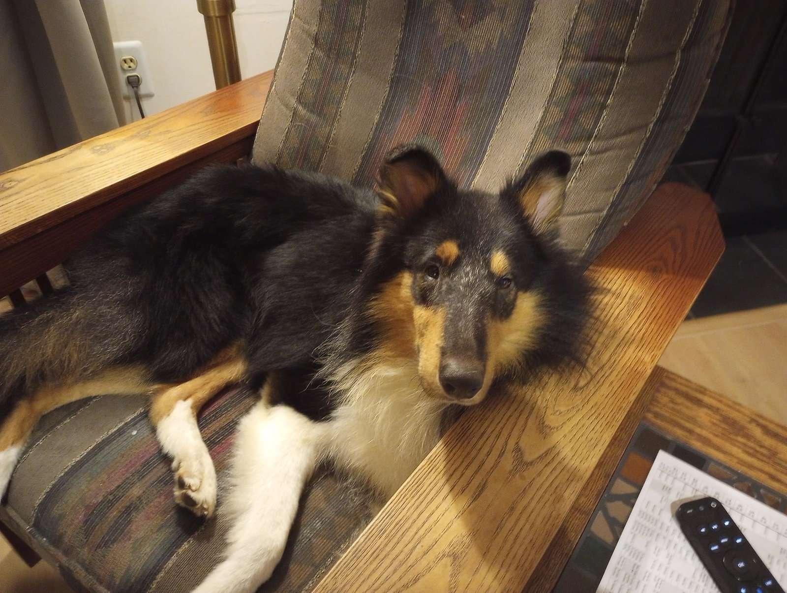 Jethro - photo 4