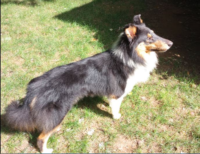 Jethro - photo 3