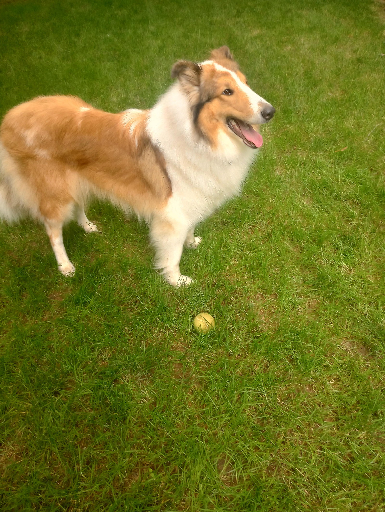Bea - photo 2