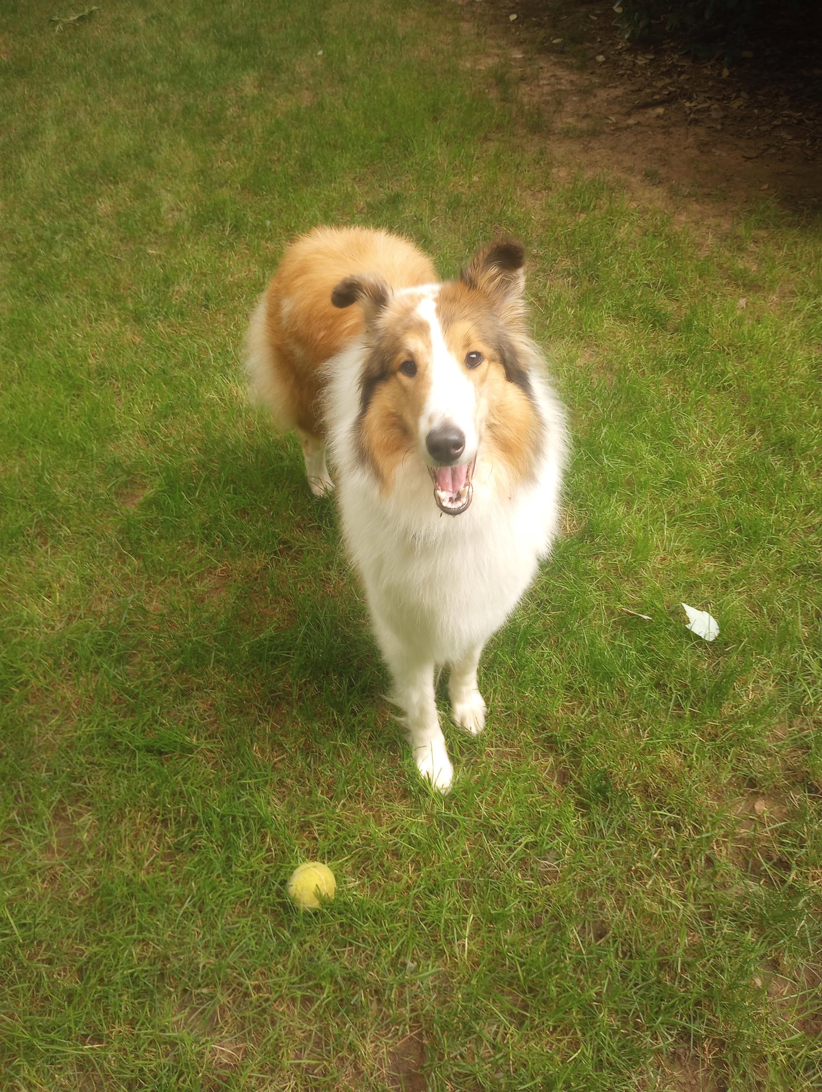 Bea - photo 3