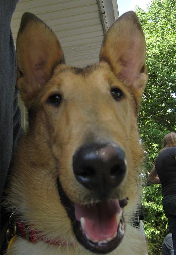 Gwen - photo 2