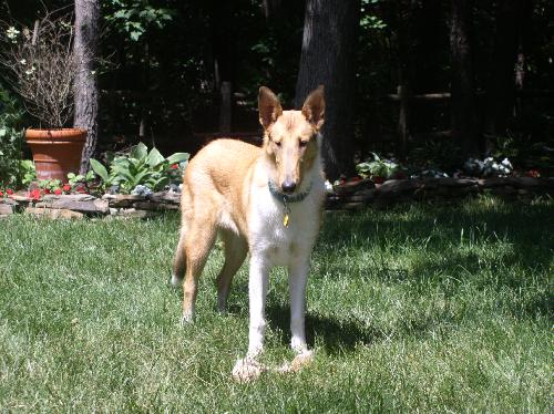 Gwen - photo 3