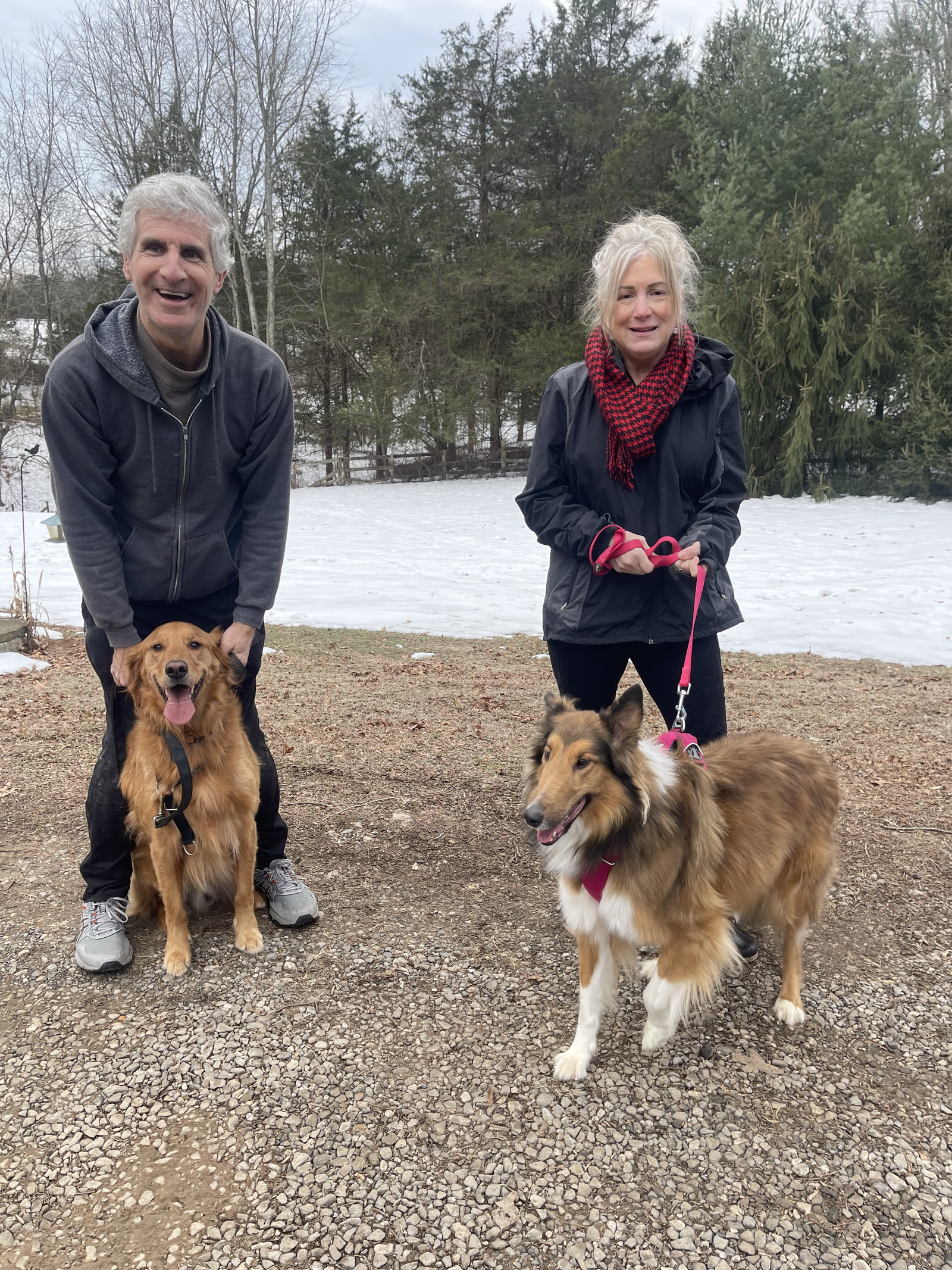 Kenzie a Adult Female Collie (long coat) adopted through Collie Rescue