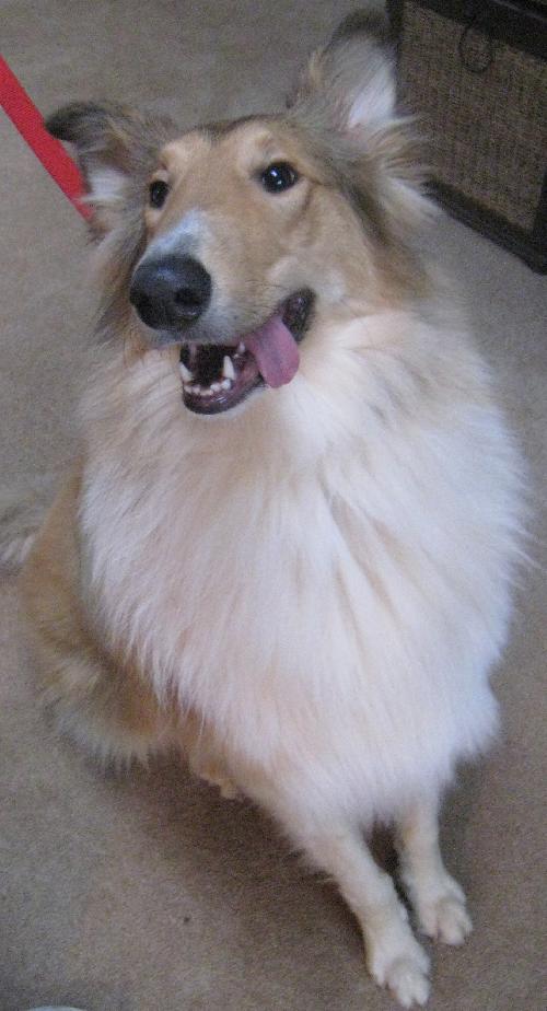 Tucker - photo 2