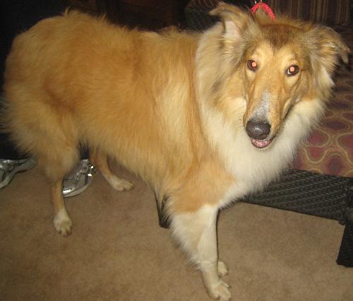 Tucker - photo 3