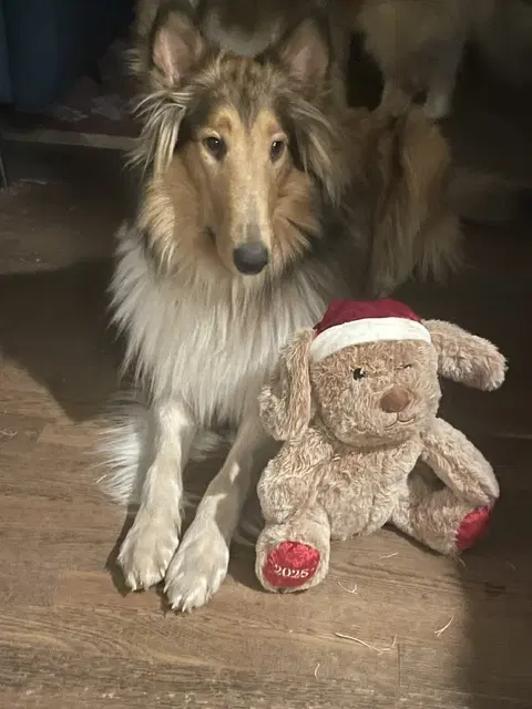 Duffy image 4