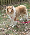Charlie - Photo 1