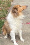 Charlie - Photo 3