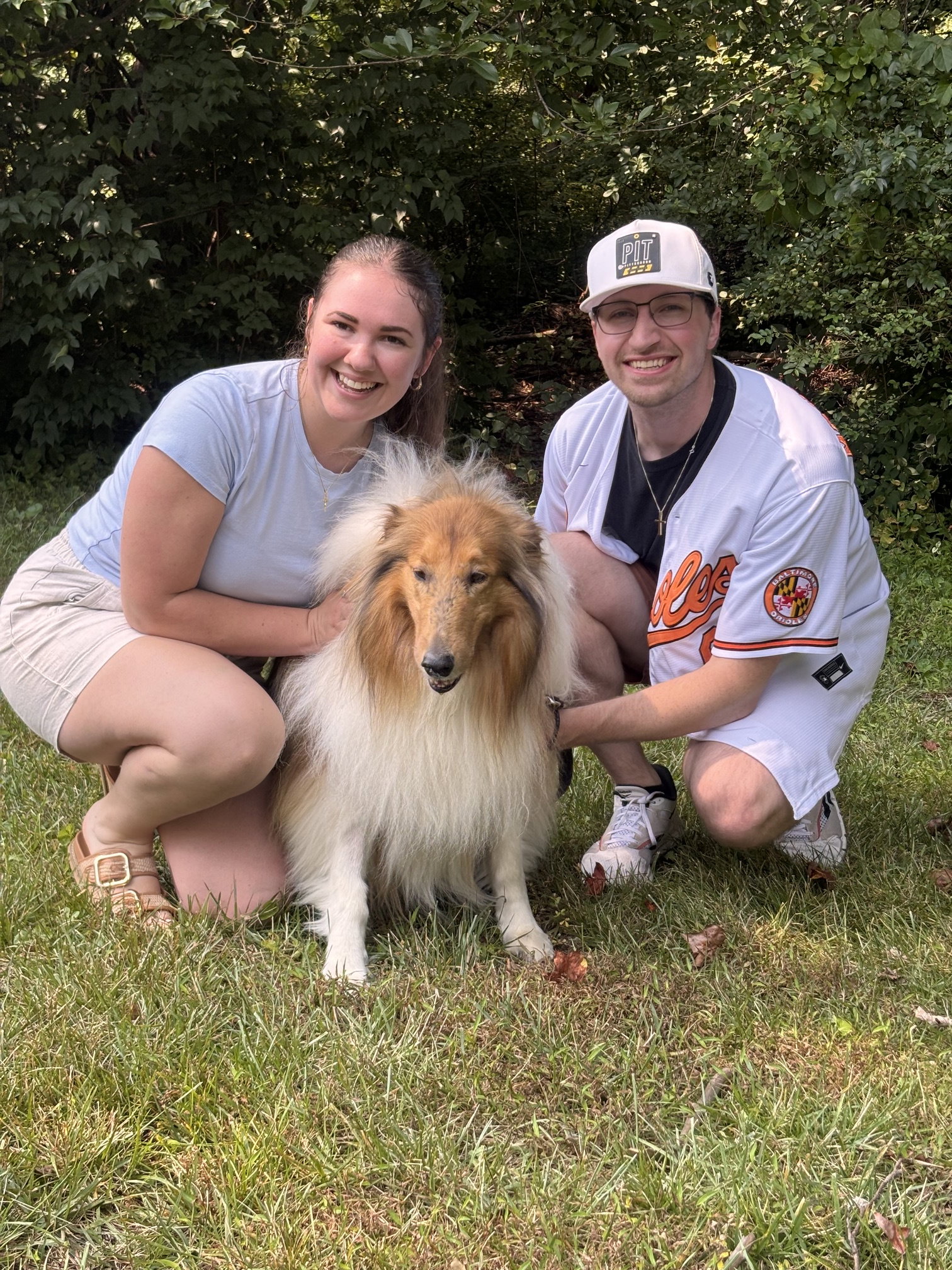 Charlie a Adult Male Collie (long coat) adopted through Collie Rescue