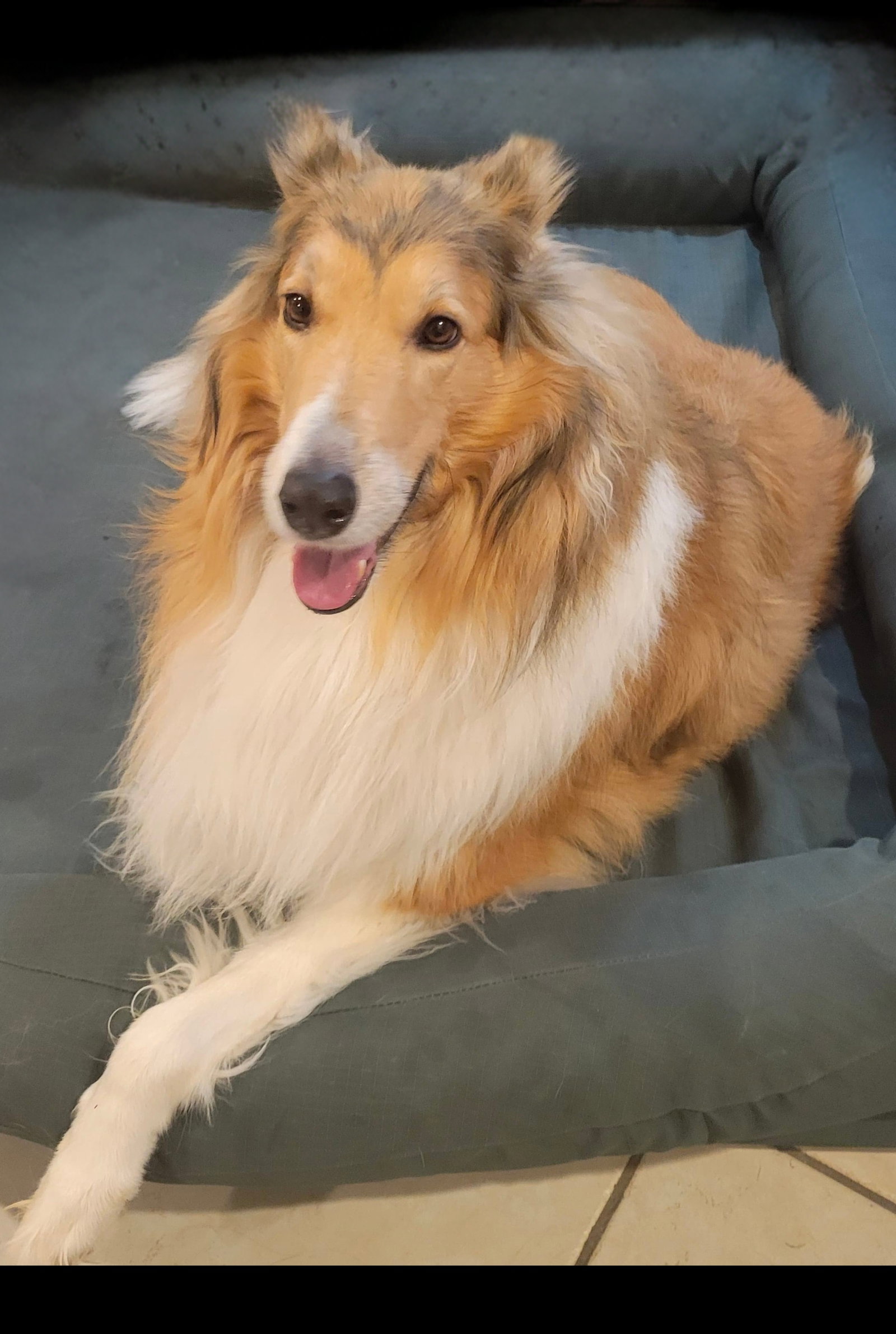Kaylee
