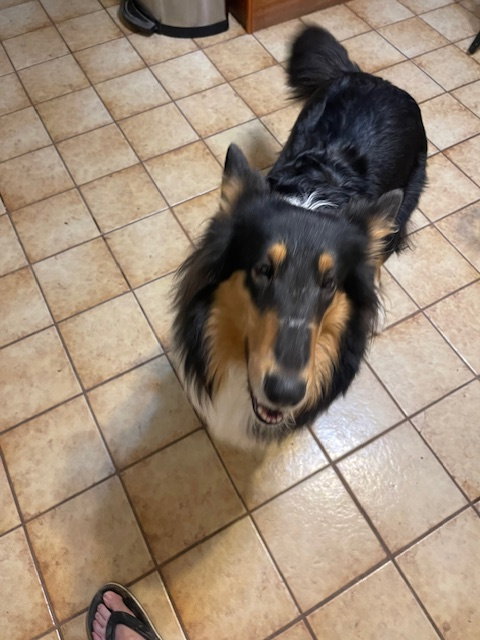 Delilah - photo 2