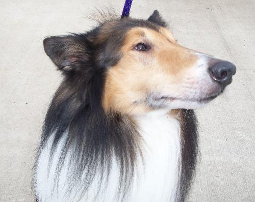 Jake - photo 3