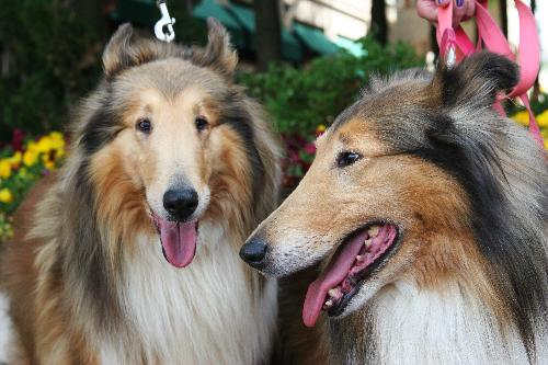Treasure & Savannah - photo 2