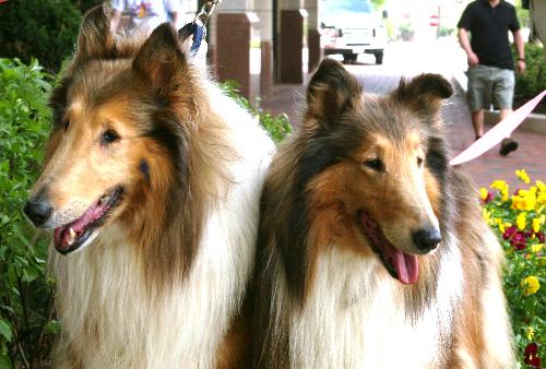 Treasure & Savannah - photo 3