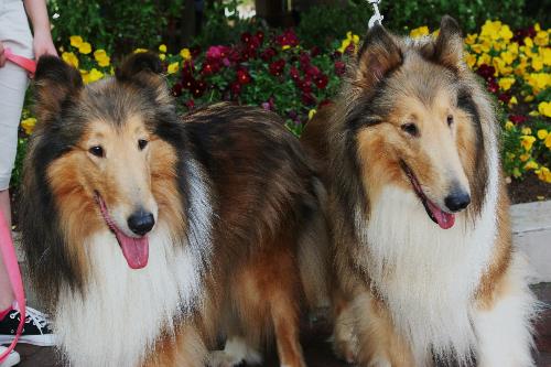 Treasure & Savannah - photo 4