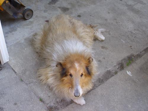 Sandy - photo 3