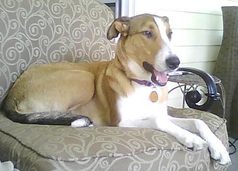 Mandy - photo 2