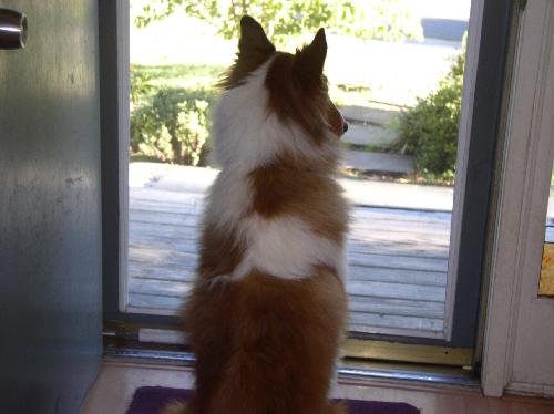 Brody - photo 3