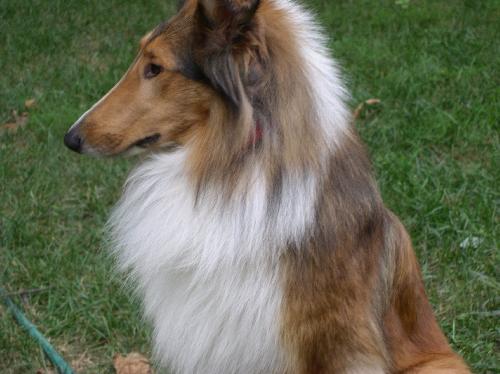 Kaiser - photo 3