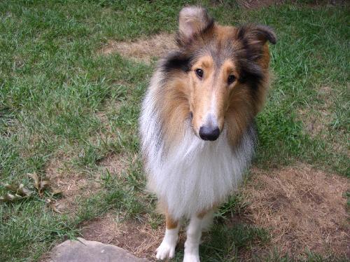 Kaiser - photo 4