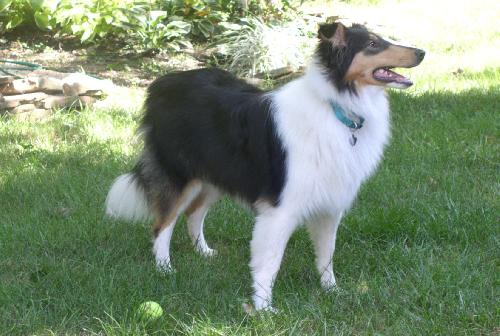 Cindy - photo 3
