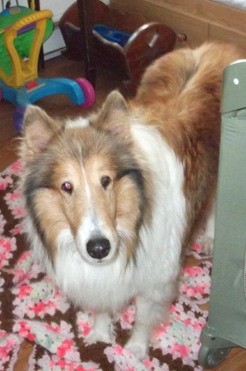 Talia - photo 2