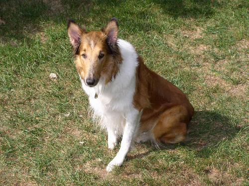 Cassie - photo 3