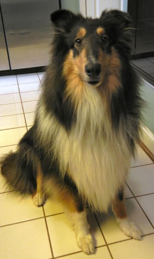 Quincy - photo 2